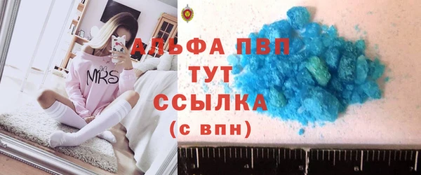 гашик Верея
