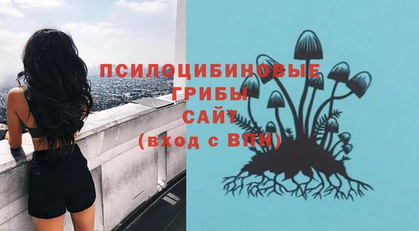 прущая мука Вязники
